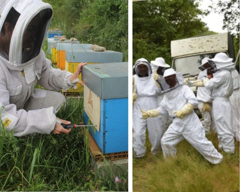 Eco-parrainage ASCIA Bee&Cie