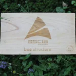 Bee-cie Les ruches ASCIA2
