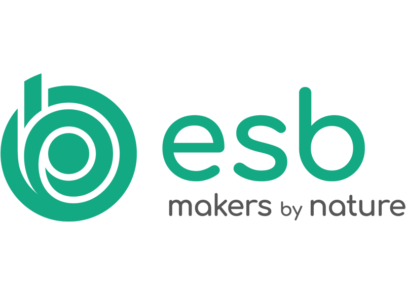 Logo ESB