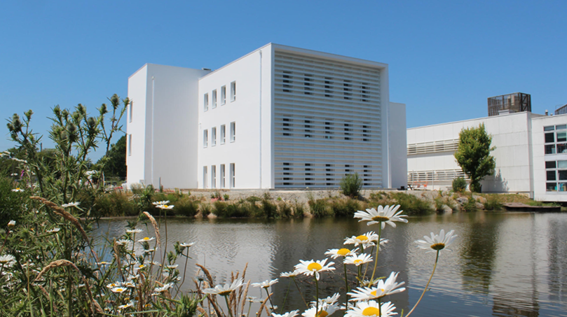 Agence IDRB